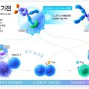 지아이시