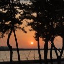 이마트24청라국제도시점 | [뚜벅이 인천여행 추천] 노을 맛집 '송도국제캠핑장'