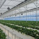 손가네농장 이미지