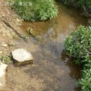 남면농장 이미지