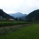 중촌 버스정류장 이미지