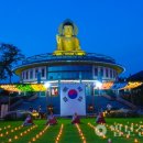 부신농장 이미지