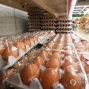 상승농장2 이미지