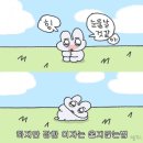 [몬자의 일기] 프롬더스트릿 엠버서더, F45 새벽 운동이 좋아, 파란만장한 삶도 재미있고 신나잖아...