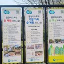 물향기 유치원 | 4월 꽃구경 명소! 물향기수목원후기 + 피크닉 후기
