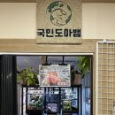 [공지] 계양구 파충류샵 국민 도마뱀 구경 후기🦎