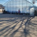 학신로-1 이미지