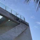 비에노즈 | 한림 귀덕 해안도로 카페 추천 제주 애견동반카페 비에노즈 솔직후기