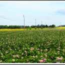 푸른농장2 이미지