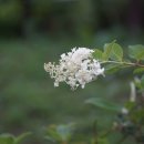 도담도담어린이공원 이미지