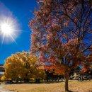 만의골로 이미지