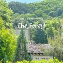 더포레스트 이미지