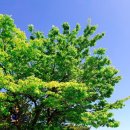 행복비치펜션 이미지