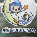 [인천 제물포구] 월미도 가볼 만한 곳｜월미바다열차 후기(인천 시민 할인, 예약 필수)