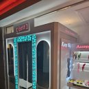 소노펠리체 델피노 이미지