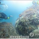 홍도개발