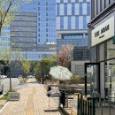 (더아란)The ARAN 네이버블로그