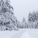 플러스신선식품 이미지