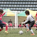 제주동초등학교 이미지