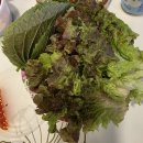 [하동]2025하동솔잎돼지순수한우(비바체리조트인근)