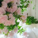 꾸니꾸니 이미지