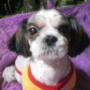 동북고등학교 이미지