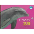 고래 - 동작구 노량진로 125 | 고래