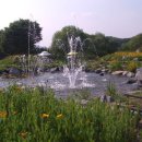 카페링크 이미지