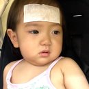 집단시설지구 | 열나고 손발에 물집? 아기 수족구병 증상 &amp; 대처법 후기 한눈에