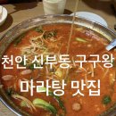 구구왕 이미지