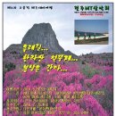 2010.5.29(토)~30(일) 제2차 제주 테마여행(전주 MT산악회) 이미지