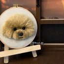 도자기페인팅지도사 2급 | [대구 양모초상화 공방] 반려동물 양모초상화 지도사 2급 수강일정