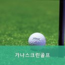 가나 스크린 골프 이미지