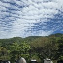비학산카서비스 | 산과 숲, 바다 그리고 길 (7) _ 경북 포항시 비학산 자연휴양림