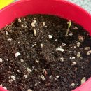 건희농장 | 3/27 정인아 보고 싶다 🐻