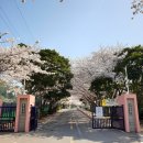 애월고등학교 이미지