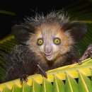 아이아이 이미지