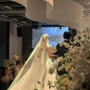 양지원 뉴스엔
