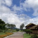 대가야반점 이미지