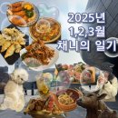 2025년 1,2,3월 채니의 일기