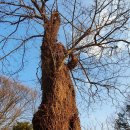 굴암농장 이미지