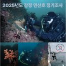 [영상] 2024-2025 강정 연산호 정기조사 (강정등대, 서건도, 연새미여) 이미지