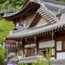 민들레하우스 | 전주 한옥스테이 감성숙소 햇살가득 민들레방 숙박 후기