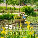 한강시민공원(등수국터널 1) | 구리유채꽃축제 끝난 구리 한강 시민공원 실시간