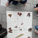 [🌷고운꽃잎반] 🐿️국화꽃 가득 유림공원에🌳 숲활동 다녀왔어요🎈🍂 이미지