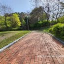 큰재봉공원 농구장 이미지