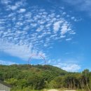 성전부동산