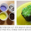 나의미니정원 이미지