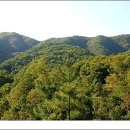 토실 토실 이미지