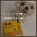 양치 | 강아지 치석관리 덴탈껌 추천, 잇츄 양치껌 솔직후기